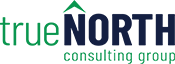 True North Consulting Logo